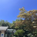 수궁펜션 이미지