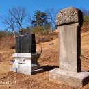 박세영선생묘 및 신도비 이미지