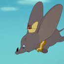 Dumbo 이미지