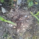 텃밭양산점 이미지