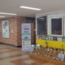 덕천초등학교 이미지