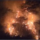 포항시북구53 이미지