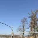 현도농장 이미지