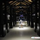 지니메드 이미지