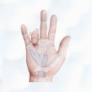 세종수지 이미지