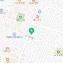 캣그램 광주 고양이분양 이미지