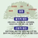 보민내과의원 네이버블로그