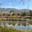 하천섬(주차장) 이미지