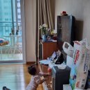 2024. 7. 2.(화)