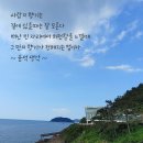 오늘 이미지
