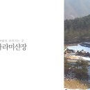 영월힐링숲펜션 이미지