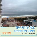 세븐일레븐 양양낙산비치점 | 양양 쏘타스위트 객실부터 조식 놀거리까지 어반스테이와 비교 총정리