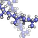 Polypropylene 이미지