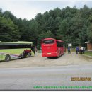 자등10 5낙차공 | 대득지맥 1구간(자등현-각흘봉 지맥분기점-태화산(795m)-463도로).
