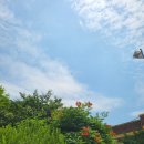 오남1리 마을회관 이미지