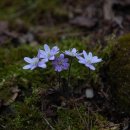 튼튼우리한의원 이미지