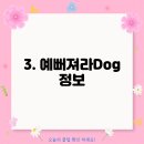 예뻐져라DOG 티스토리