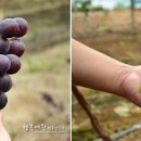 예은농장 이미지