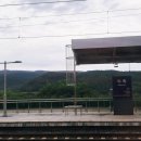 31140-8-35-25 | [#35] 영주 #01(25-0806/수) ~ 부산에서 영주 기차 이동 후 흥주선비국밥 혼밥 후 숙소 체크인