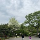 전촌참가자미회 이미지