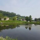 월선 낚시터 이미지