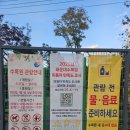 황금개구리 | 부산 아이와 가볼만한 곳 피크닉 추천 단풍명소로 유명한 해운대 수목원 후기