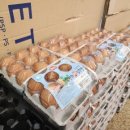 금치축산 이미지