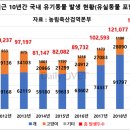 반려견을 어릴때 데려와서 끝까지 책임지는 가족 전체 반려견 인구의 "12%"(88%가 개를 버린다는 얘기가 아님) 이미지