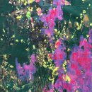 전주우석대학교 이미지