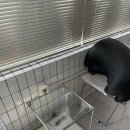 유엔로 | 대연동 미용실 트렌디한 경성대 레이어드컷 후기 ‘바이룸헤어’