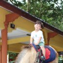 엘케이(LK)하우스 | 말레이시아 조호바루 동물원 후기 zoo johor