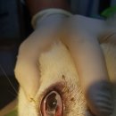 창원동물병원 이미지