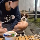 철이네 촌캉스 이미지