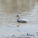 화포천마을 이미지