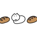 둔산중로-12 이미지