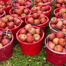 (주)홀썸 이미지