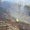 문막(강릉) 이미지