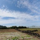 감자부동산중개사무소 이미지