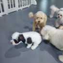 원형동로 | 우리의 여름휴가는~