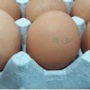 이정환농장 이미지