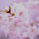 평택시노인전문요양원 이미지