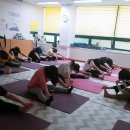 요가교실 오후반 이미지