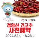 청양이맘때