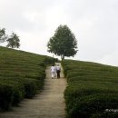 세레나데모텔 이미지