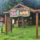 거제드림어린이집 | 계룡산 유아숲체험원 어린이놀이시설 거제 아이와가볼만한곳