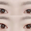 끌리다움