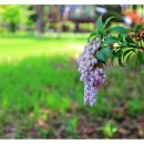 경상대학교 부속박물관 이미지