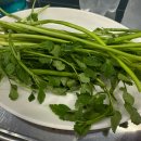 오팔식당 이미지