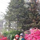 양평막국수 이미지