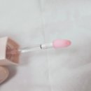 세한(주) | [에스티로더] 에스티로더 퓨어 컬러 엔비 립 볼류마이저 후기 ♪